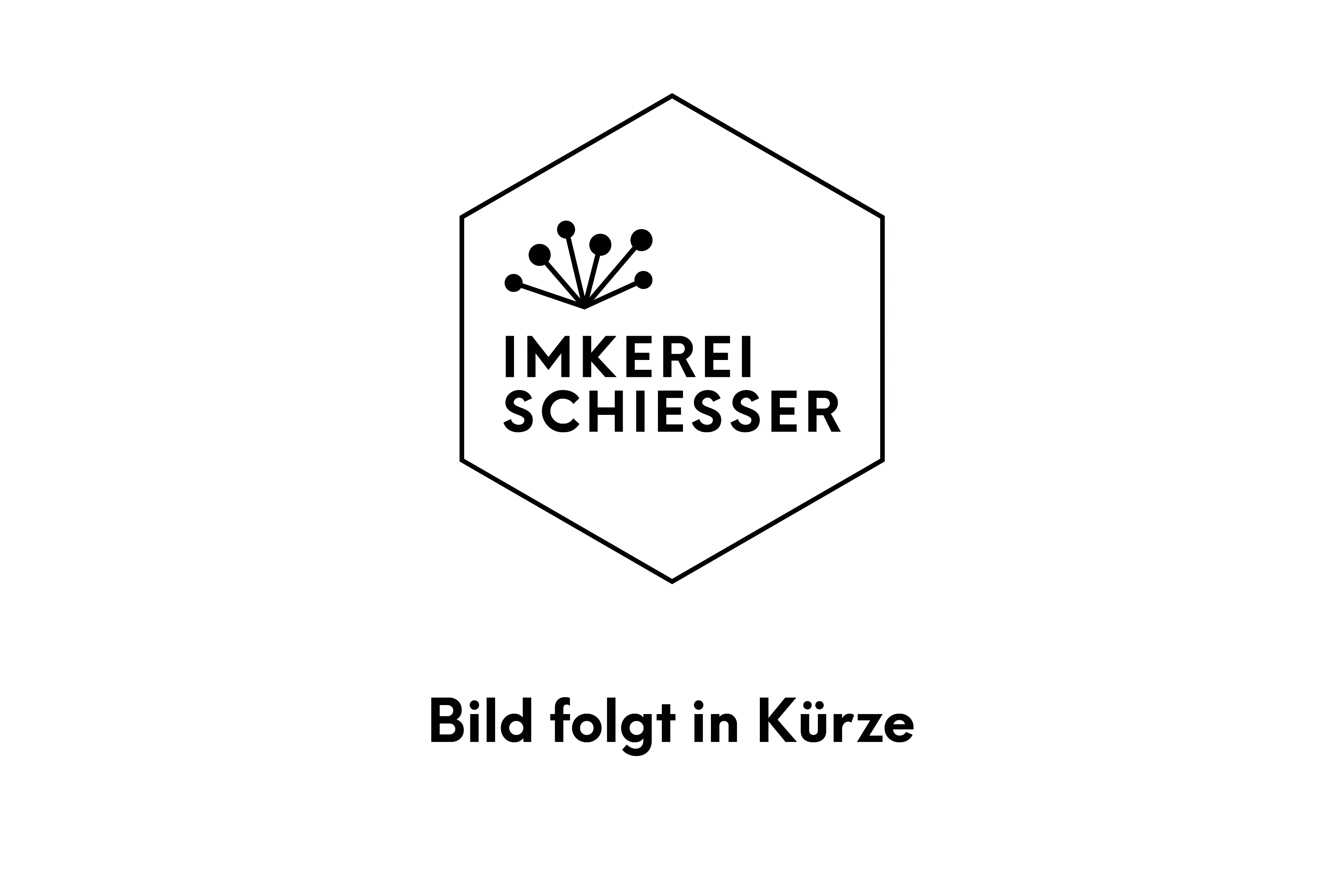 Kein Bild vorhanden
